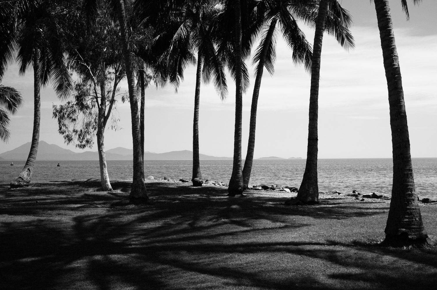 The Power of Capturing Reality and Natute by Mario Zmudzinski