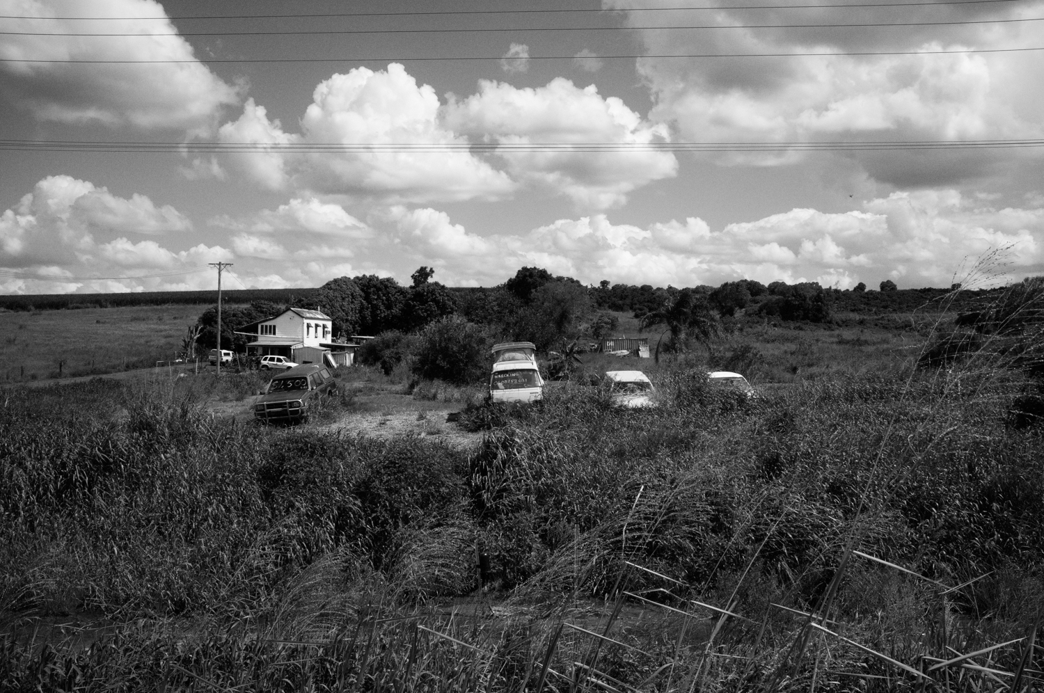 Documenting the world around us by Mario Zmudzinski.