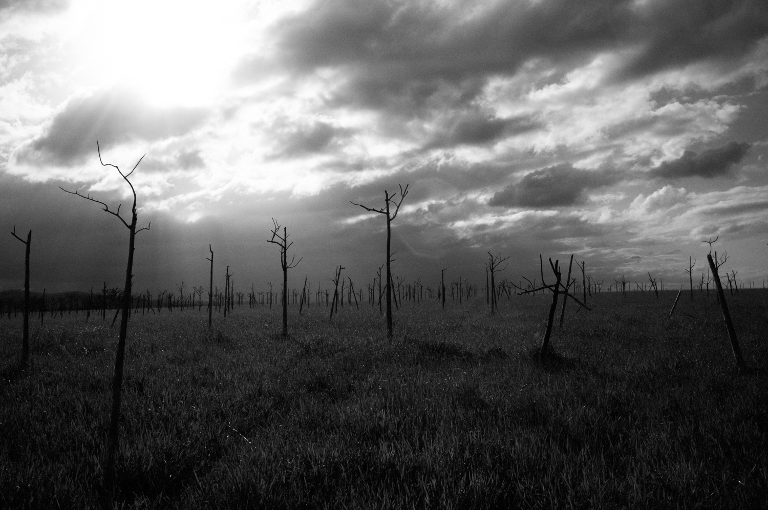 Magnum Studio Documentary Photos by Mario Zmudzinski