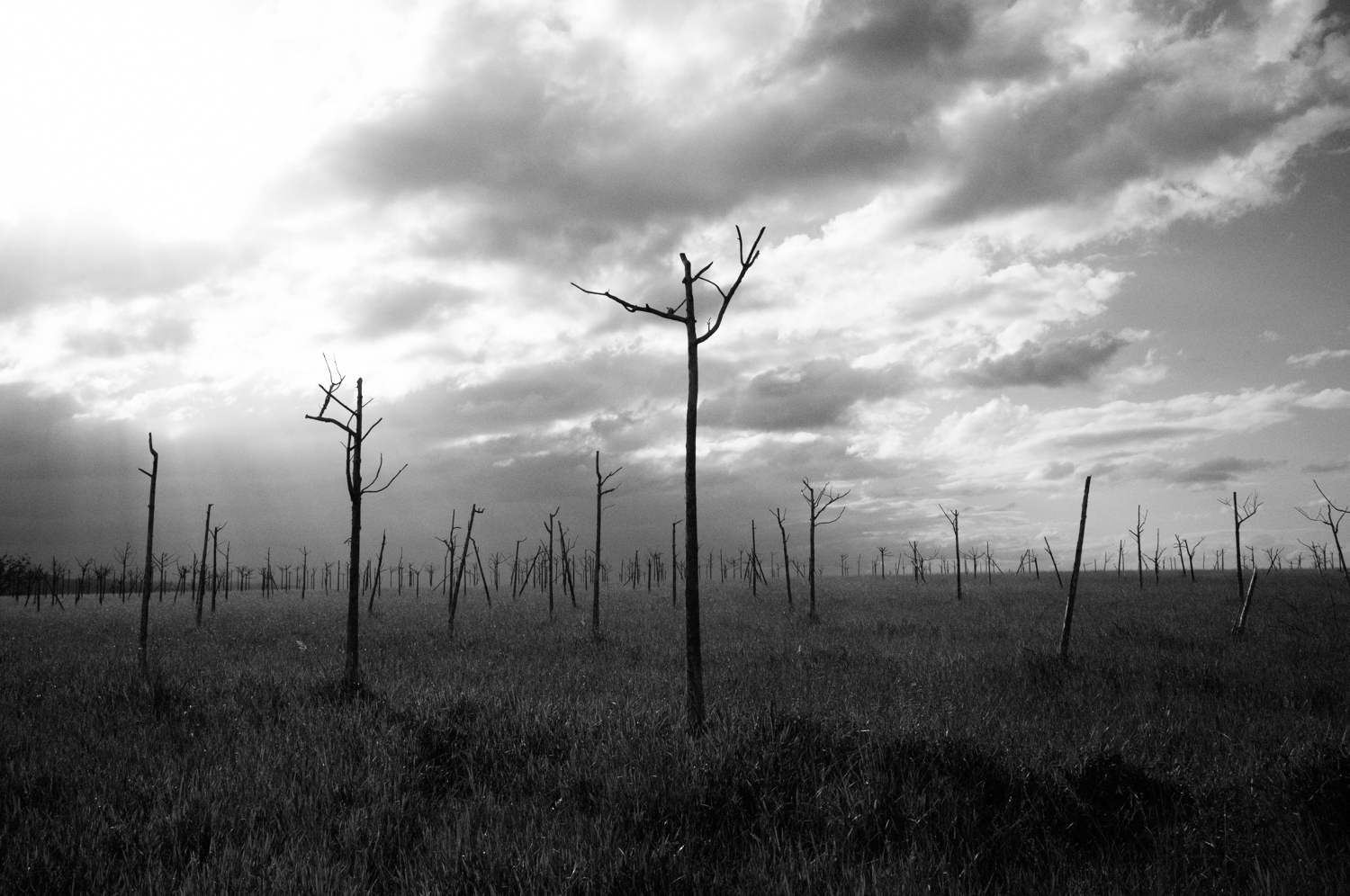 Magnum Studio Documentary Photos by Mario Zmudzinski