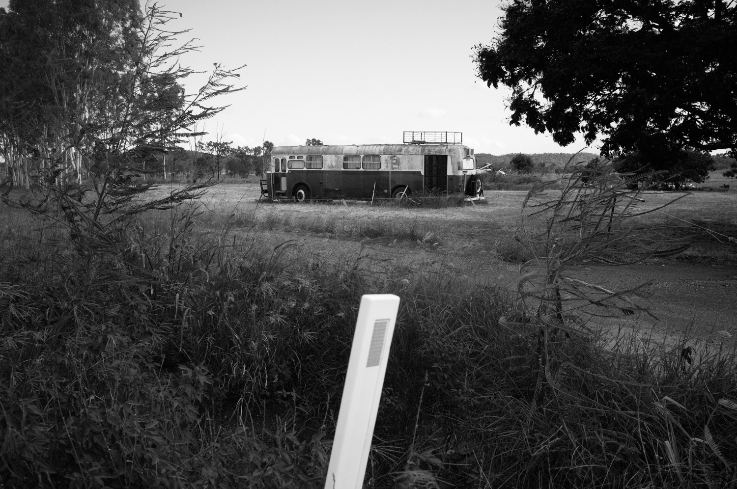 Finding Beauty in the Everyday | Photos by Mario Zmudzinski