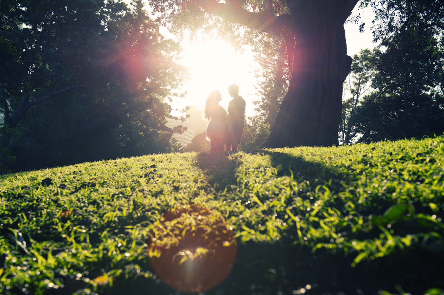 Mario Zmudzinski | Magnum Studio | Pre-Wedding Bliss